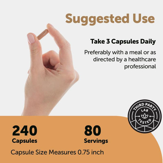 Nattokinase 10,000FU Complex Supplement
